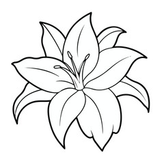 vector line art flower design