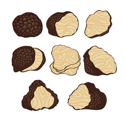Set of black truffle mushroom collection kit, Fresh sliced truffle. Delicacy exclusive truffle mushroom, Isolated cartoon set icon mushroom, vector illustration.