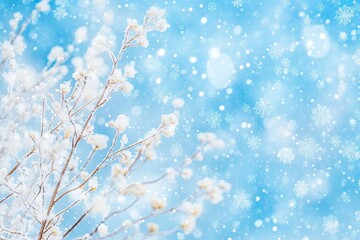 Frosty winter branches against a snowy blue bokeh background.