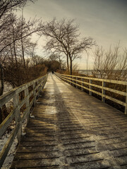 Wooden boardwalk with strollers in a serene winter seascape, surrounded by bare trees under cloudy skies