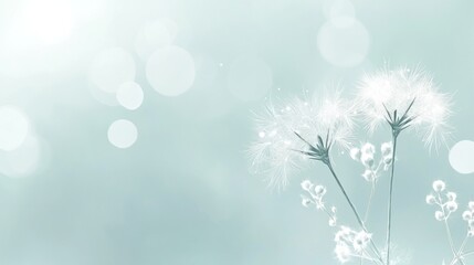 Soft, dreamy image of delicate dandelion seed heads and wildflowers against a bokeh background.