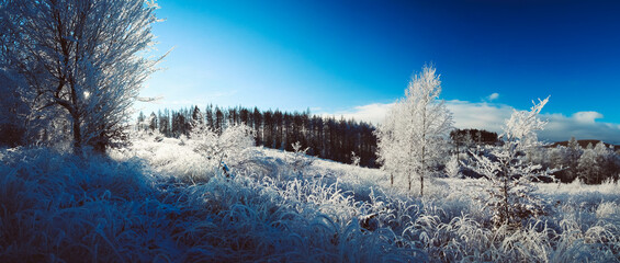 Winterlandschaft, Nationalpark Harz