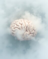 Human brain emerging from soft, ethereal clouds.

