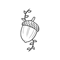 a line art drawing of an acorn coloring page