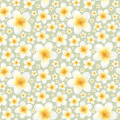 Plumeria flower in pastel yellow and white color. Hand drawn watercolor seamless pattern of delicate frangipani on light olive. Drawing of tropic plant for packaging, textile, fabric and spa design.