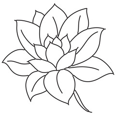 vector line art flower design