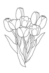 一束のチューリップの線画