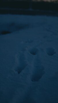 Spuren im Schnee