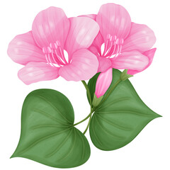 pink flower artwork