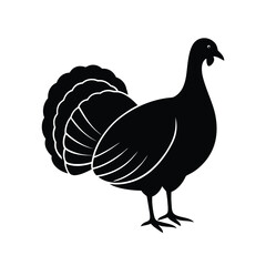 silhouette of a turkey chicken vector image illustration and artwork on white background