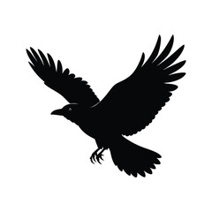 crow silhouette vector image illustration and artwork on white background