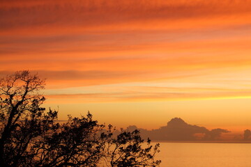 Red, orange and yellow sunset behind trees 