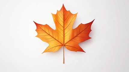 Vibrant Maple Tree Leaf in Wide Angle Centered Composition