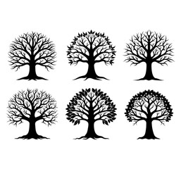 Obraz premium Set of Tree silhouette, vector isolated on white background