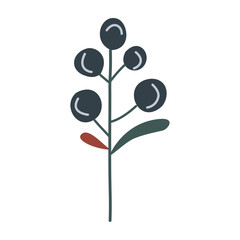 Branch with leaves and berries, isolated, vector illustration, design