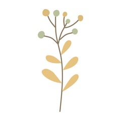 Branch with leaves and berries, isolated, vector illustration, design