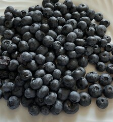 blueberries on a white plate