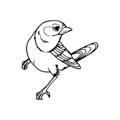 a bird coloring page with a black and white outline