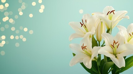 Obraz premium Elegant White Lilies with Dew Drops on Soft Teal Background, Pure Serenity and Delicate Beauty