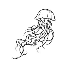 a line art drawing of a jellyfish illustration © Zen20