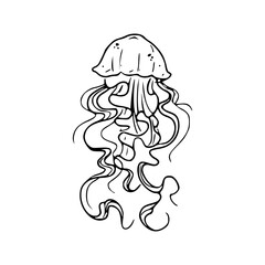 a line art drawing of a jellyfish illustration