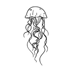 a line art drawing of a jellyfish illustration