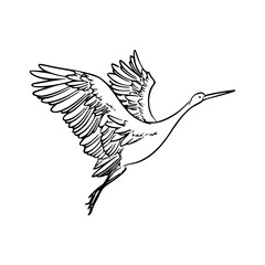 a line art drawing of a beauty crane illustration