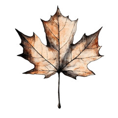 Naklejka premium detailed illustration of vintage maple leaf with autumn colors