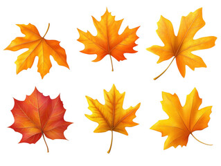 Obraz premium A colorful autumn tapestry, four maple leaves in shades of red, orange, and yellow