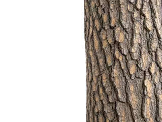 Fleecedeken met foto Dramatic monochrome, textured tree trunk isolated against a deep black background © tinnakorn