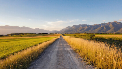 Naklejka premium Open Road Through Golden Fields: A rustic dirt road stretches towards a picturesque mountain range in the distance, with tall golden grasses lining its sides and a vibrant green field beyond.