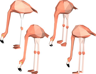 vector illustration of flamingo bird animal design with long legs and beak 