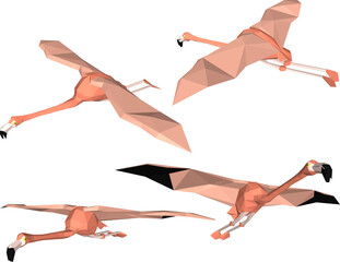 Fototapeta premium vector illustration of flamingo bird animal design with long legs and beak