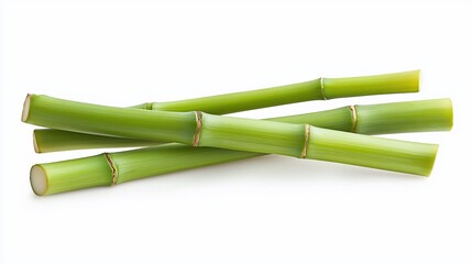 Obraz premium Three vibrant green bamboo stalks isolated on white background.