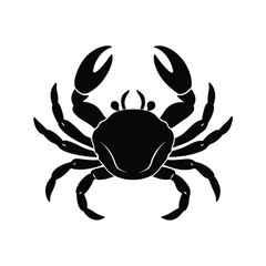 crab isolated on white background