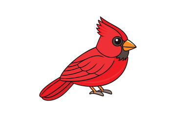 Cute Bird Vector art in Illustration on a White Background