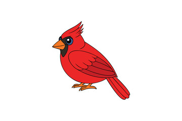 Cute Bird Vector art in Illustration on a White Background