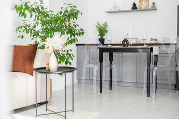 Modern living room design with minimalist dining area and greenery