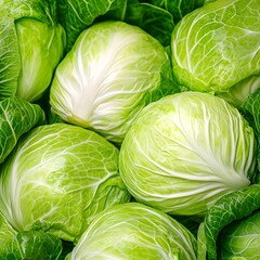 Fototapeta premium Harvesting fresh green cabbage farm field food photography agricultural setting close-up organic produce