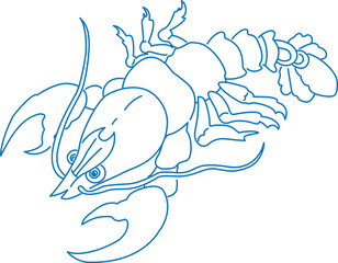 Cancer zodiac line drawing. Lobster silhouette