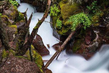 moss covered rocks