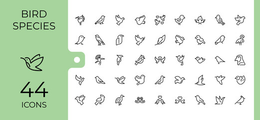 Bird Species icon pack. Featuring cute, free, chick, wild, pet, feather, wing, penguin. Perfect for logos and infographics. Editable vector stroke.