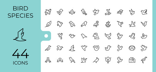 Bird Species icon pack. Featuring cute, free, chick, wild, pet, feather, wing, penguin. Perfect for logos and infographics. Editable vector stroke. © Cats2udio