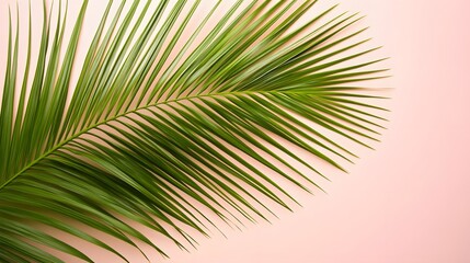 Obraz premium Vibrant Green Palm Leaf on Pink Background Tropical Summer Minimalist Design