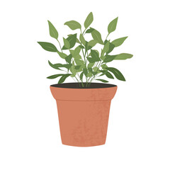 A pot with a houseplant. Isolated flat vector illustration, cartoon style. The concept of a home interior. A young plant from the ground., a sprout. Seedlings, landscaping.