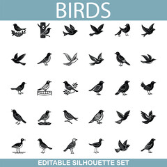 Editable Bird Silhouettes Collection of Diverse Avian Species