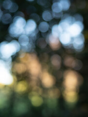 Blurred bokeh lights creating stunning abstract background