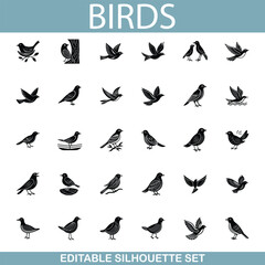 Editable Bird Silhouettes Collection of Diverse Avian Species