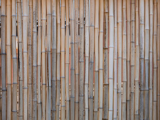 Fragment of a fence made from dry bamboo trunks