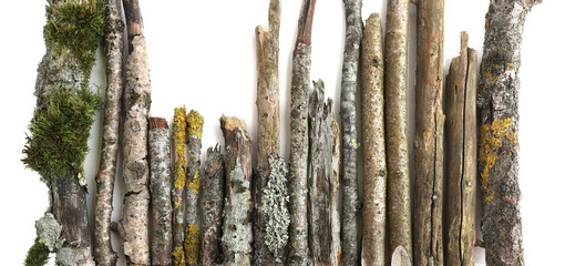 Textured Forest Branches with Moss and Lichen isolated on white background. Rustic Wooden Sticks...